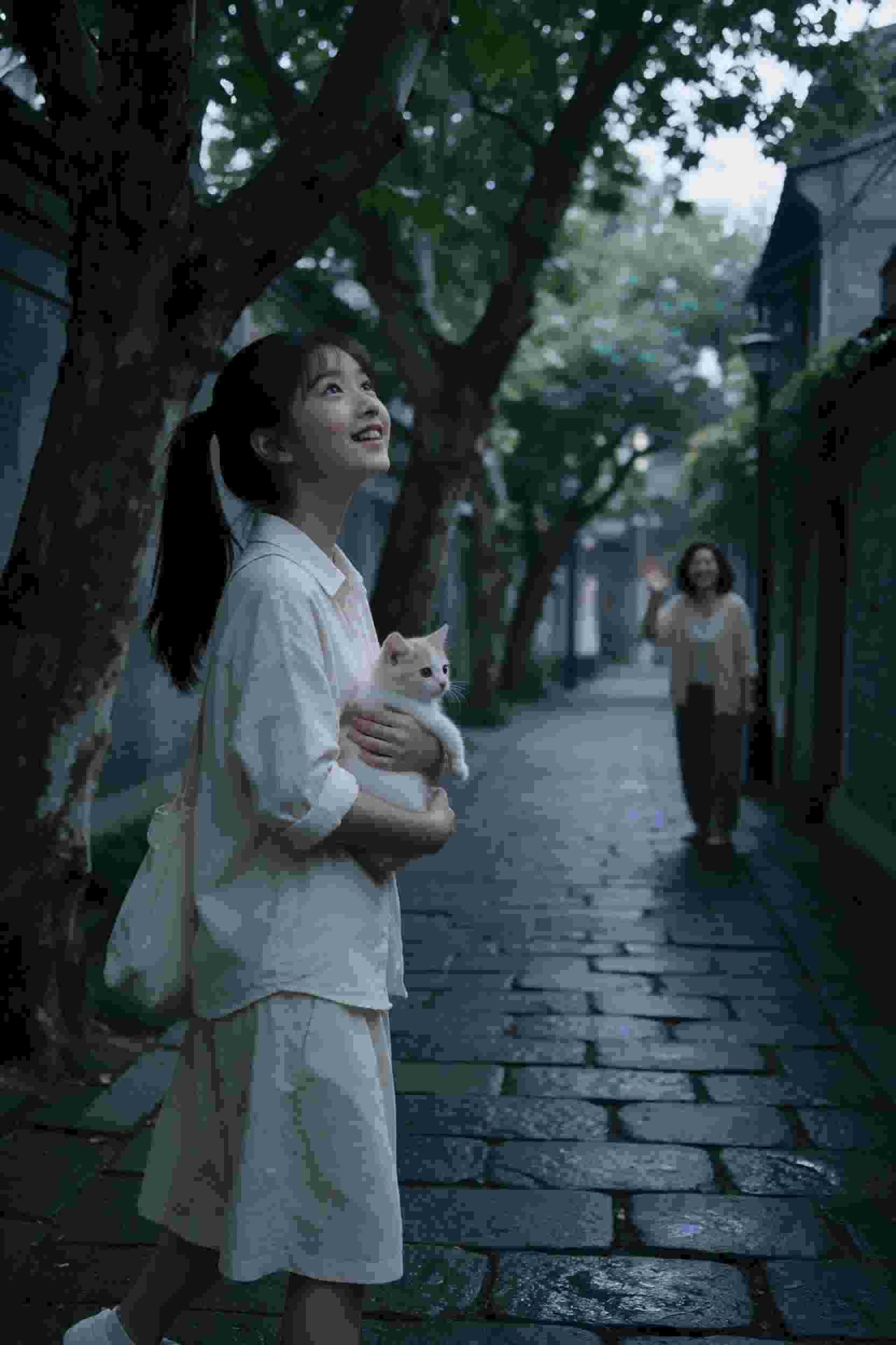 岁月的童话